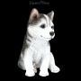 AMI 13806 Hunde Figur Husky Welpe - 360° presentation