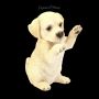 AMI 13809 Hunde Figur Labrador Welpe macht Maaaaennchen - 360° Ansicht