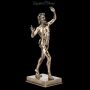 FS15064 Faun Figur von Pompeji - 360° presentation