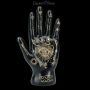 FS21655 Wahrsager Hand Palmistry schwarz - 360° presentation