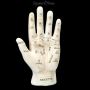FS21656 Wahrsager Hand Palmistry weiss - 360° presentation