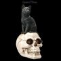 FS22896 Katzen Figur auf Schädel Familiar Fate - 360° presentation
