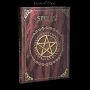 FS23502 Notizbuch Pentagramm Spells Book rot - 360° Ansicht