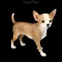 FS24299 Chihuahua Figur - 360° Ansicht