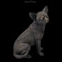 FS24393 Hunde Figur Chihuahua bronziert - 360° presentation