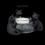 FS24489 Teelichthalter Katzen Familiar Trio - 360° Ansicht