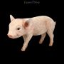 FS24789 Schweine Figur Kleines Schweinchen - 360° Ansicht