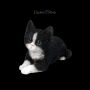 FS25124 Baby Katze schwarz weiß Dekofigur - 360° presentation
