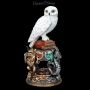 FS25149 Harry Potter Figur Eule Hedwig - 360° presentation