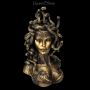 FS25453 Medusa Figur Büste bronzefarben - 360° Ansicht