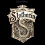 FS25876 Wandrelief Harry Potter Slytherin Wappen - 360° Ansicht