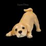 FS26288 Hundefigur Labrador WElpe will spielen - 360° presentation