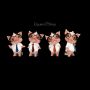 Dekofigur Schwein - Büro Schweinchen 4er Set - 360° Ansicht