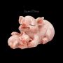 Mini Pig Figurine with Baby Pig - Snuggle - 360° View