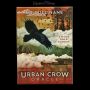 Crow Oracle Cards ‘Urban Crow Oracle’ - 360° View