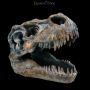 ML12402 Totenkopf Tyrannosaurus Rex klein - 360° presentation