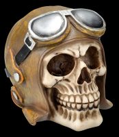 Skull with Pilot's Cap and Glasses