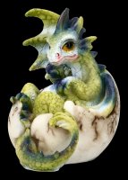 Drachen Figuren - Hatchlings Emergence - 4er Set