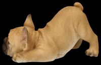 Hundefigur - Französische Bulldogge Welpe will spielen