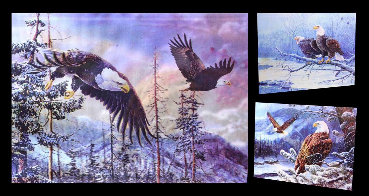 3D-Picture 3in1 with Eagles - King of the Skies