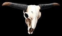 Wanddeko - Longhorn Totenkopf groß