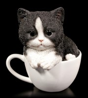 Katzen Figur - Schwarz-weißes Kätzchen in Tasse