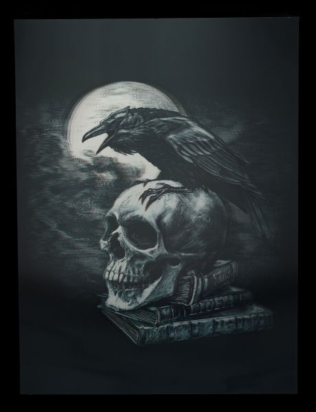 3D Bild mit Raben - Poe's Raven