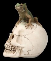 Skull with Iguana