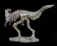 Dinosaurier Figur - Kleines Tyrannosaurus Rex Skelett