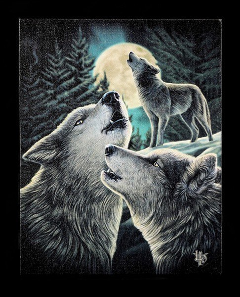 Small Canvas - Wolf Song by Lisa Parker