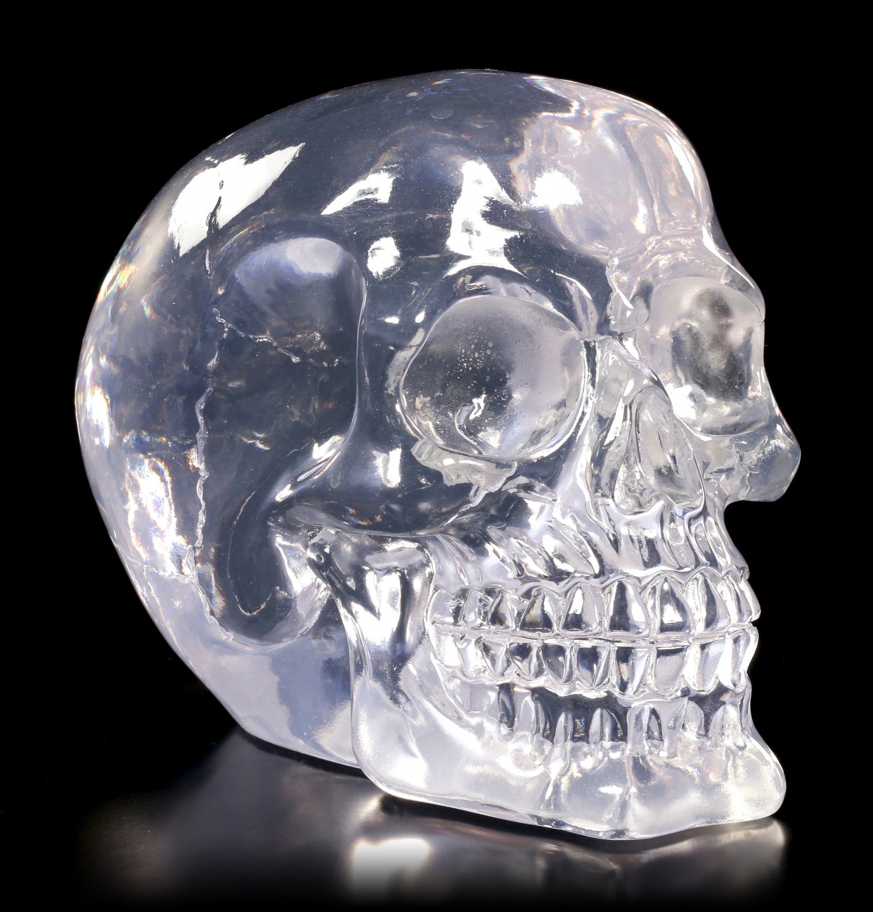 Translucent Skull neutral - Clear Thinking