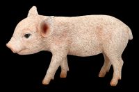Schweine Figur - Kleines Schweinchen