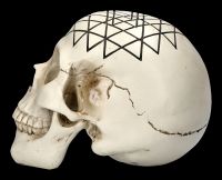 Skull - Sacred Geometry - Yantra