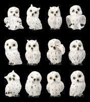 Snowy Owl Figurines - Cute Set of 12