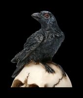 Raben Figur auf Totenschädel - Raven&#39;s Spell