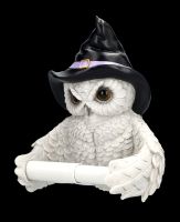 Toilet Paper Holder - Owl with Witch Hat