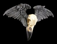 Wall Ornament - Ravenger Raven Skull
