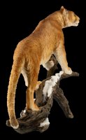 Cougar Figurine on Limb