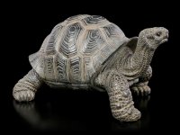 Tortoise Figurine - small