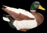 Gardening Figurine Duck - Mallard Drake Lying