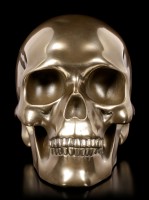 Human Skull - bronzed