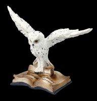Snowy Owl Figurine - Message for the Wizard