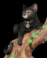 Hexen Katze - Onyx auf Baum