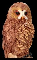 Owl Figurine - Spectacled Owl