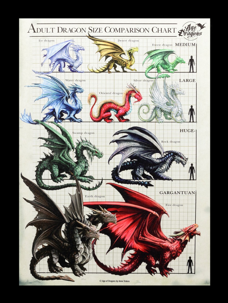 Large Canvas - Dragon Size Chart