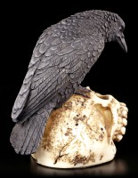 Raven Figurine on Skull