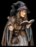 Witch Figurine with Raven and Magic Book