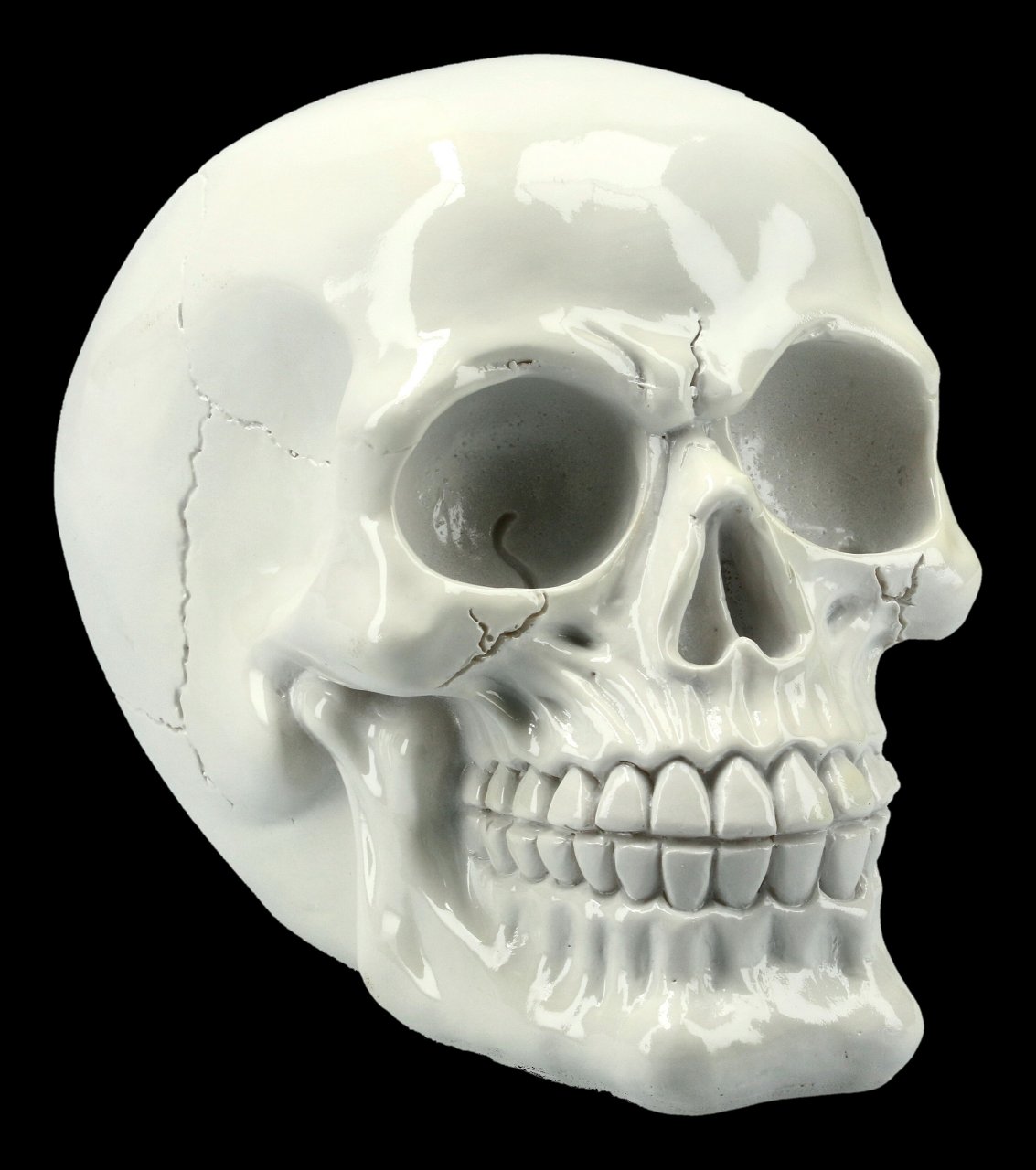 Skull - shiny white