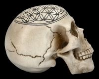 Skull - Sacred Geometry - Flower of Life