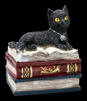Schatulle - Katze auf roten Büchern